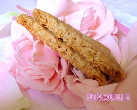 digestive_biscuit__2_