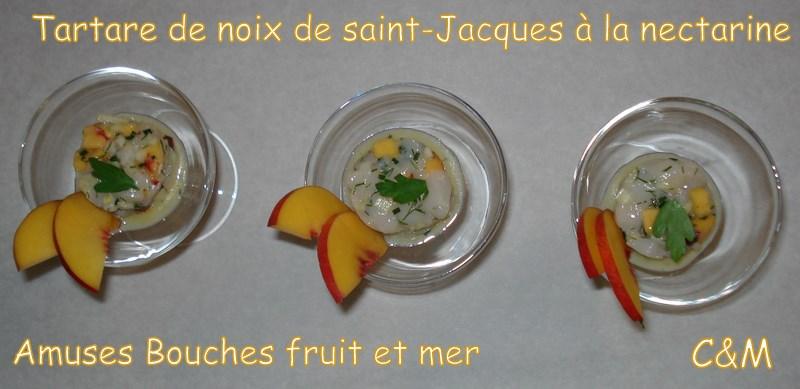 Tartare de saint-jacques à la nectarine