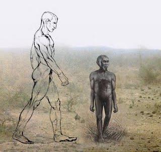L'Homo floresiensis: premier à sortir d'Afrique ?