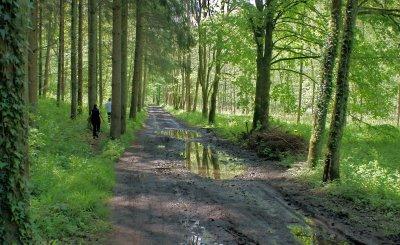 Panorama de paysages autour de Houyet (Belgique)