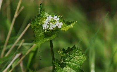 Si belle nature, à préserver