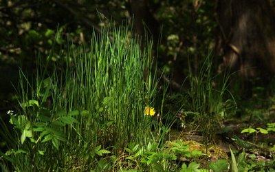 Si belle nature, à préserver