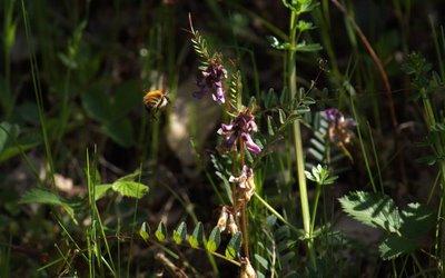 Si belle nature, à préserver