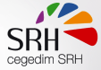 Seyfert fait le choix du progiciel TeamsRH de Cegedim SRH & l'intégration du nouveau système de gestion des RH est confiée à Consultencia