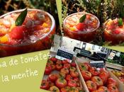 Salsa tomates menthe