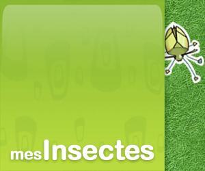 Mesinsectes.com Mosaïque Twitter