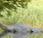 monstre Loch Ness Google Earth