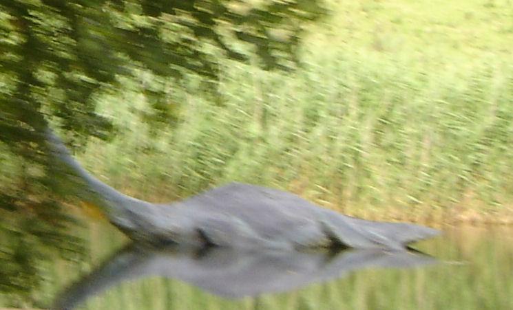 Le monstre du Loch Ness sur Google Earth ?