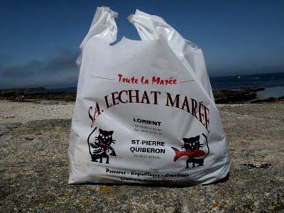 Lechat Marée