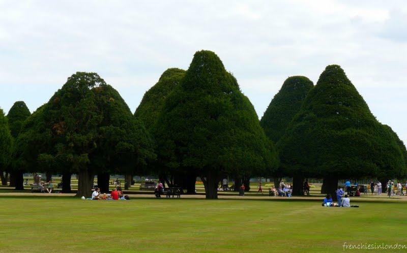 Hampton court , les jardins du palais