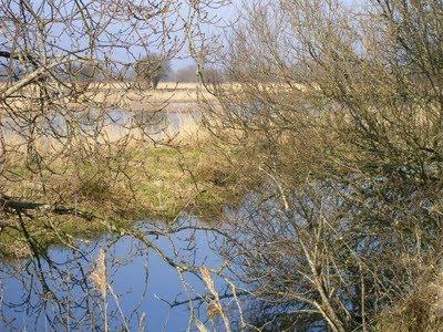 le mois des parcs en Brière