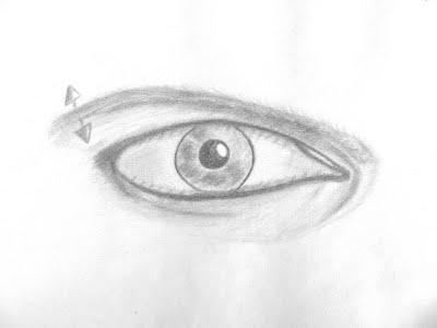 Mes dernières créations