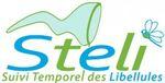 Logo-STELI-280x141