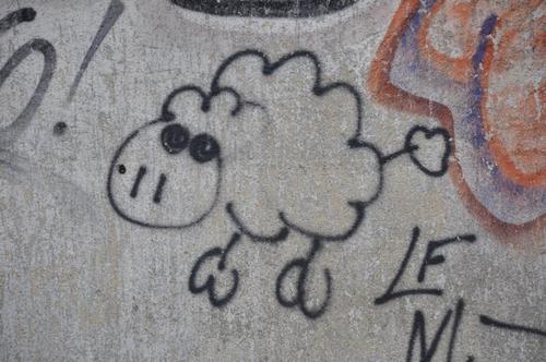 Mouton tagué sur un mur et aussi sur Soliblog
