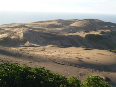 La vue des dunes depuis la crête