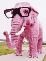 Elephant+rose+%C3%A0+lunette.jpg