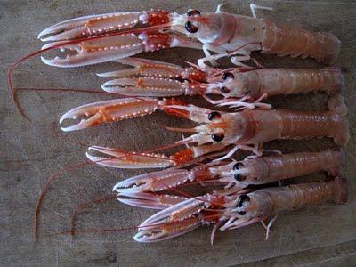 Écrevisses et coques de Carnac