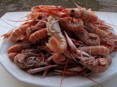 Écrevisses et coques de Carnac