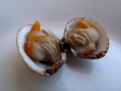 Écrevisses et coques de Carnac