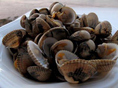 Écrevisses et coques de Carnac