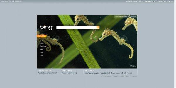 Bing moteur 