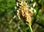 besoin nature sauvage