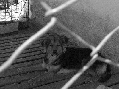 Bonne rentrée a tous