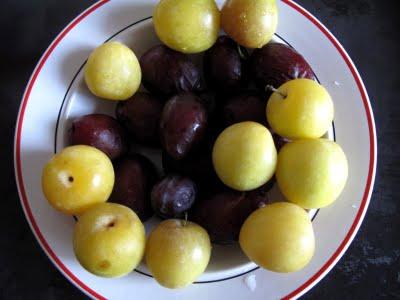 Tarte aux prunes, quetsches et pommes