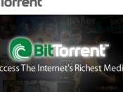 ebooks plus piratés 2009 BitTorrent