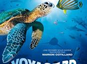 Voyage sous mer...