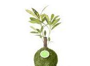 Nouveauté gadget Kibonu