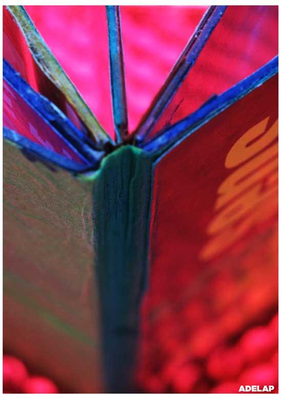 [DESTINEE-ADELAP6.jpg]