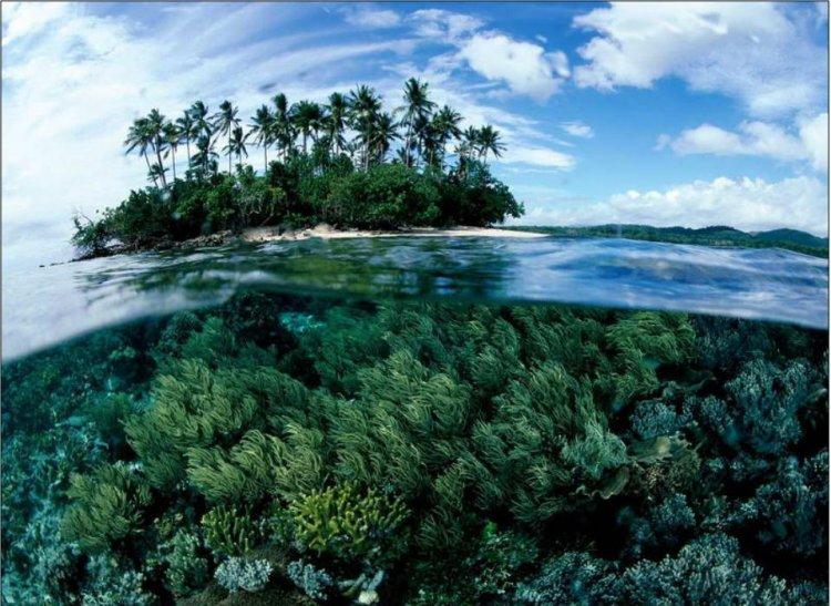 Polynésie française