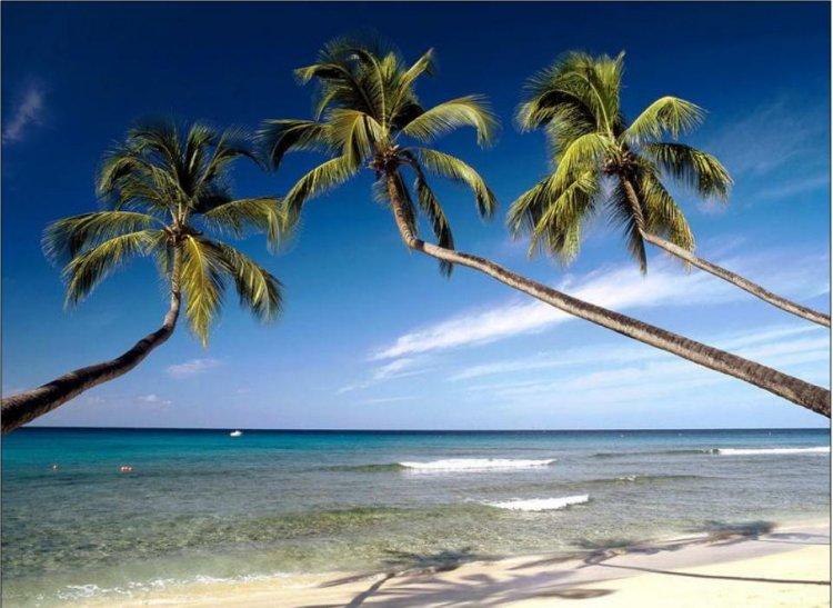 Polynésie française