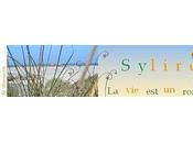 Focus blog celui sylire