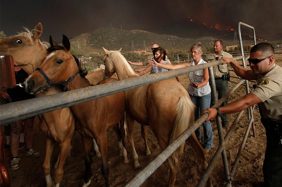 Images du jour : Incendies en Californie