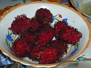 Le chinois ne comprend pas comment on monte un meuble IKEA et les litchis chinois (entre autres).