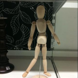 Taxe carbone: je vote pour!