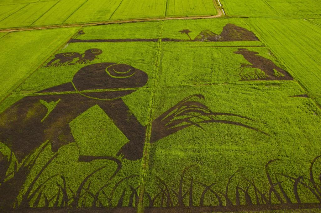 Une oeuvre d'art contre le riz GM