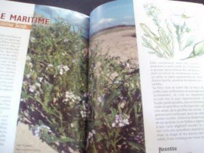 Glaner les pieds dans l'eau, les papilles éveillées