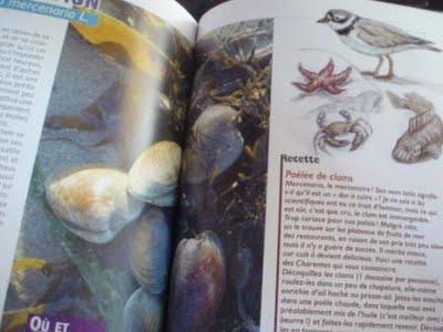 Glaner les pieds dans l'eau, les papilles éveillées