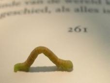 Vers, Trojan, virus : quelle menace pour les lecteurs ebooks ?