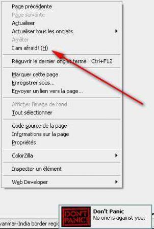 10 extensions FireFox inutiles et donc indispensables