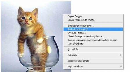 10 extensions FireFox inutiles et donc indispensables