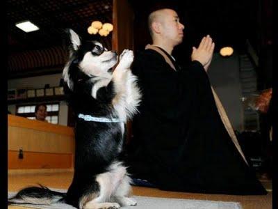 aux lisières d'un instant