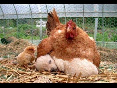 aux lisières d'un instant