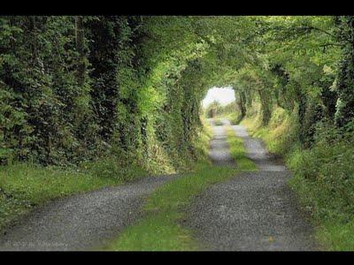 aux lisières d'un instant