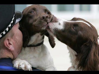 aux lisières d'un instant