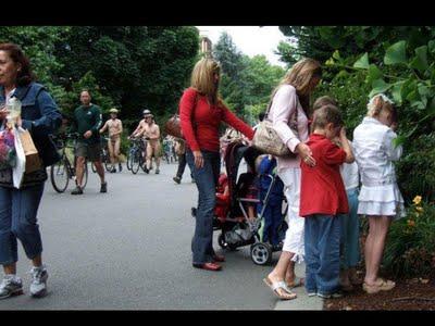 aux lisières d'un instant