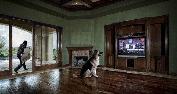 Le rire des méganautes 2